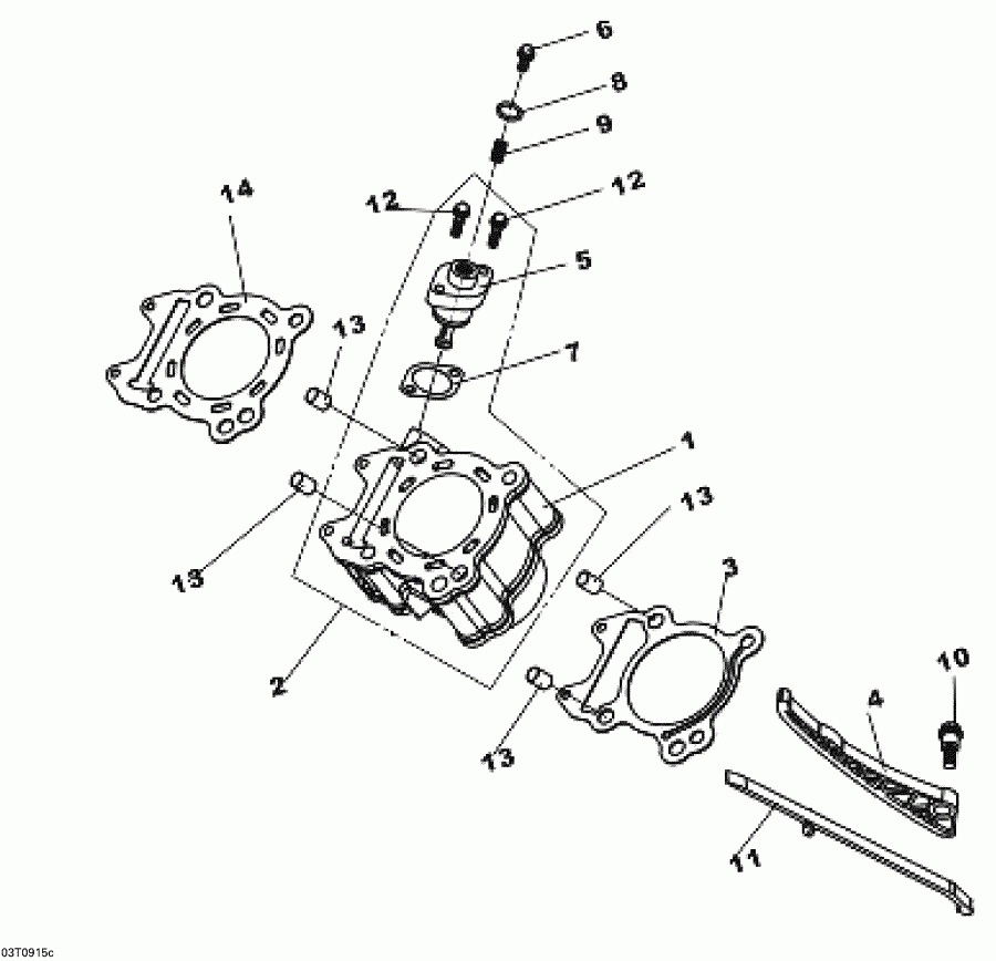 BRP DS 250 NA, CE & INT, 2011 - Cylinder