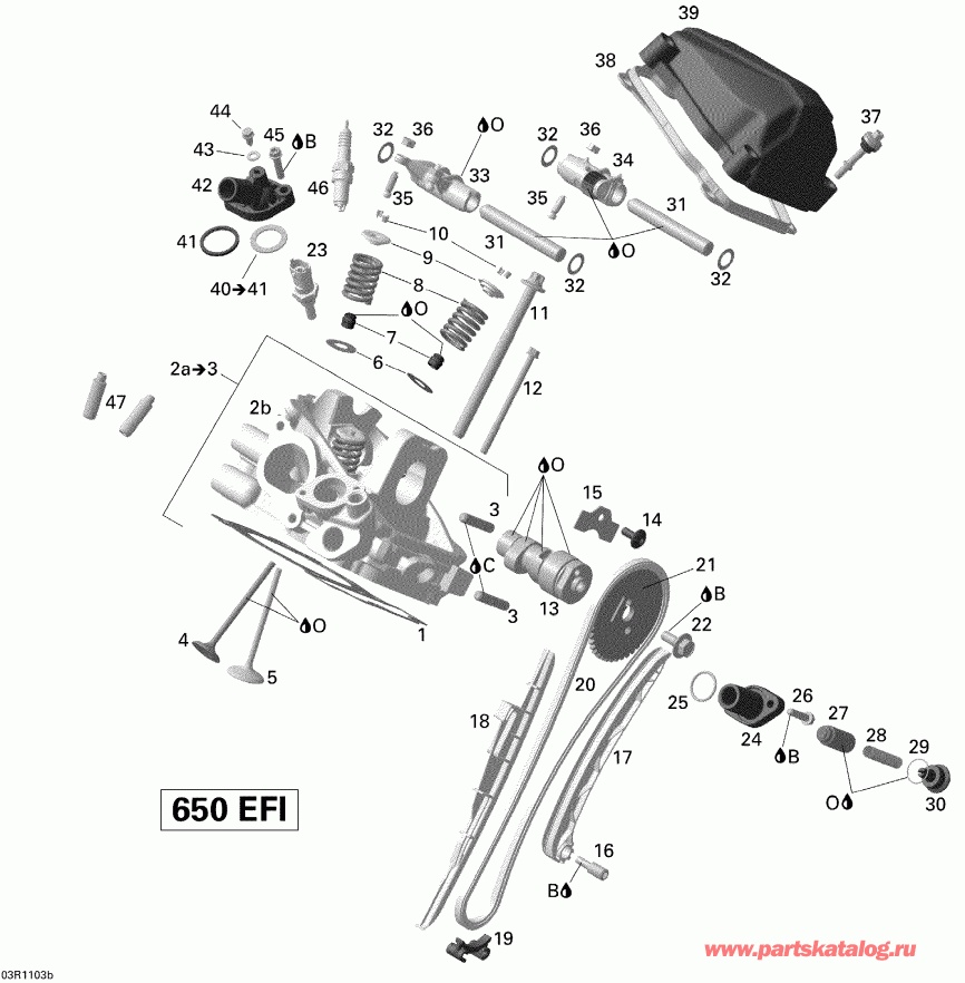  BRP Outlander Max 650 EFI, 2011  -   , Rear