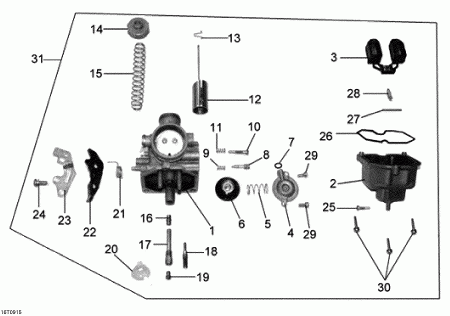   DS 250 NA & INT, 2015  - Carburetor