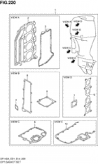 Opt:gasket set (:  )