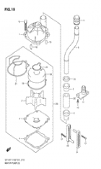 Water pump ( )