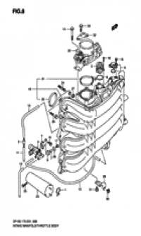 Intake manifold / throttle body (  /  )