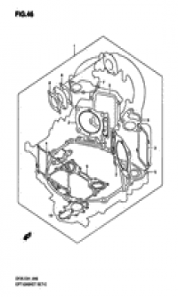 Opt:gasket set (:  )