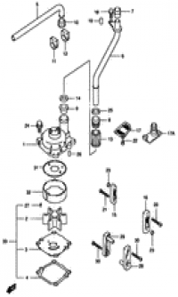 Water pump ( )