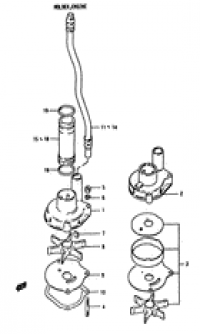 Water pump ( )