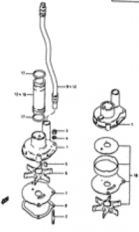 Water pump ( )