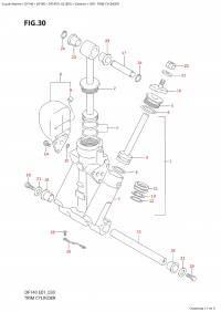 030 - Trim Cylinder (030 -  )