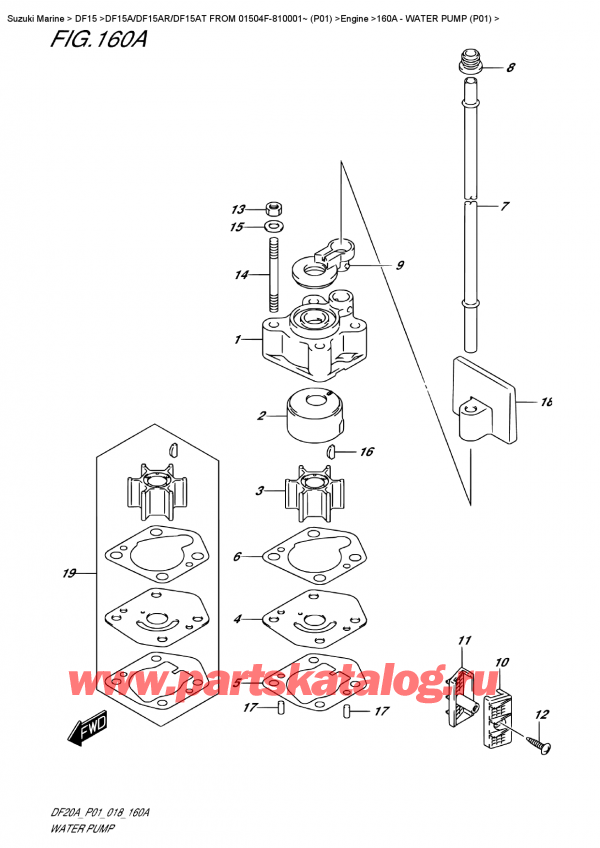   ,    , Suzuki DF15A S / L FROM 01504F-810001~ (P01), Water Pump  (P01)