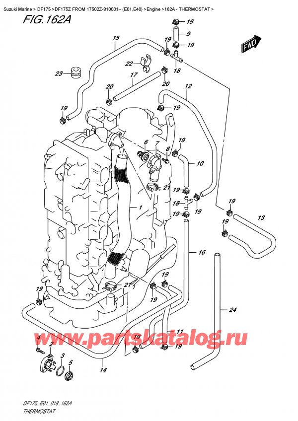  ,   , Suzuki Suzuki DF175Z L/X FROM 17502Z-810001~ (E01) , 