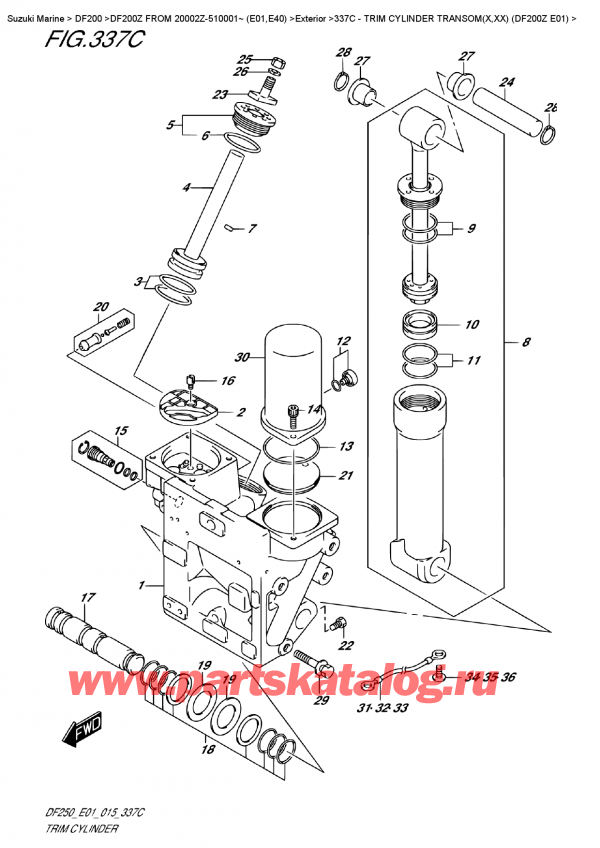   ,   , Suzuki DF200Z X / XX  FROM 20002Z-510001~ (E01)  2015 , Trim  Cylinder  Transom(X,xx)  (Df200Z  E01)