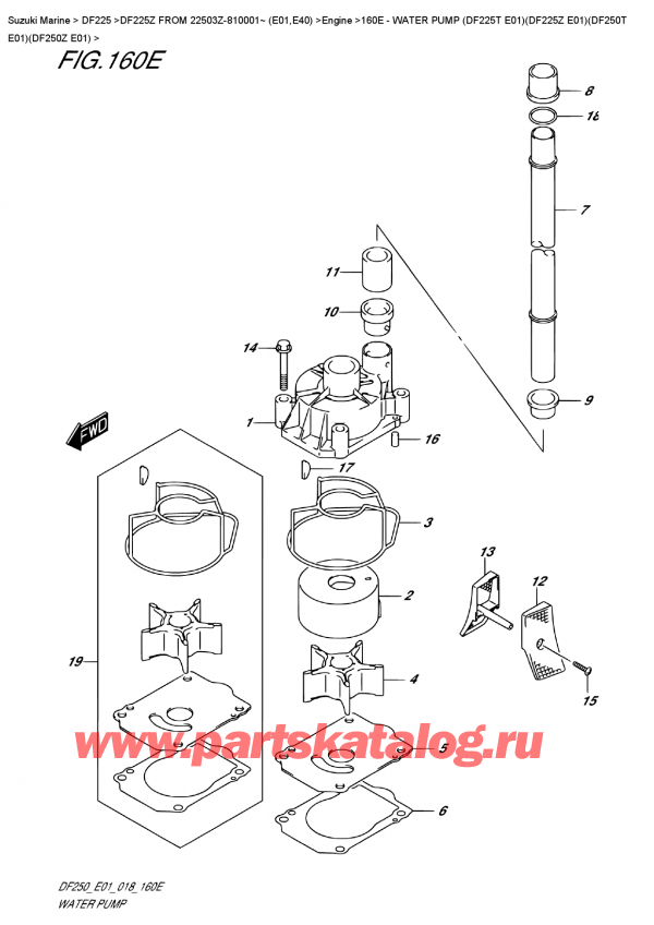  ,   ,  DF225Z X/XX FROM 22503Z-810001~ (E01)  2018 , Water Pump (Df225T  E01)(Df225Z  E01)(Df250T  E01)(Df250Z  E01) /   (Df225T E01) (Df225Z E01) (Df250T E01) (Df250Z E01)