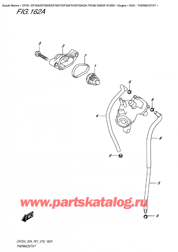  ,    , Suzuki Suzuki DF30A S / L FROM 03003F-610001 (P40) - 2016  2016 , Thermostat