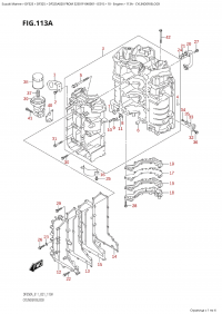 113A - Cylinder Block (113A -  )