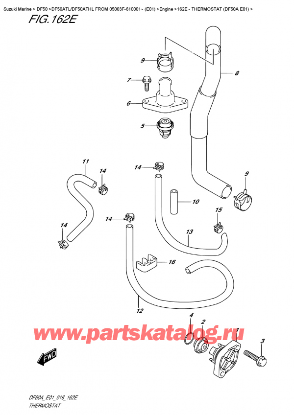 ,   , Suzuki DF50A TS/TL FROM 05003F-610001~ (E01),  (Df50A E01)