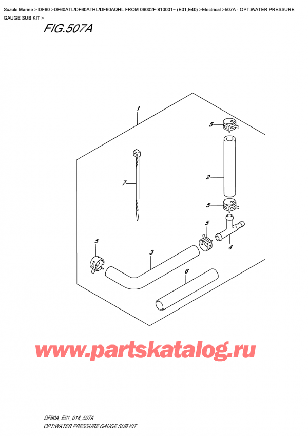   ,   , Suzuki DF60A TS / TL FROM 06002F-810001~ (E01) , :      / Opt:water  Pressure  Gauge  Sub  Kit