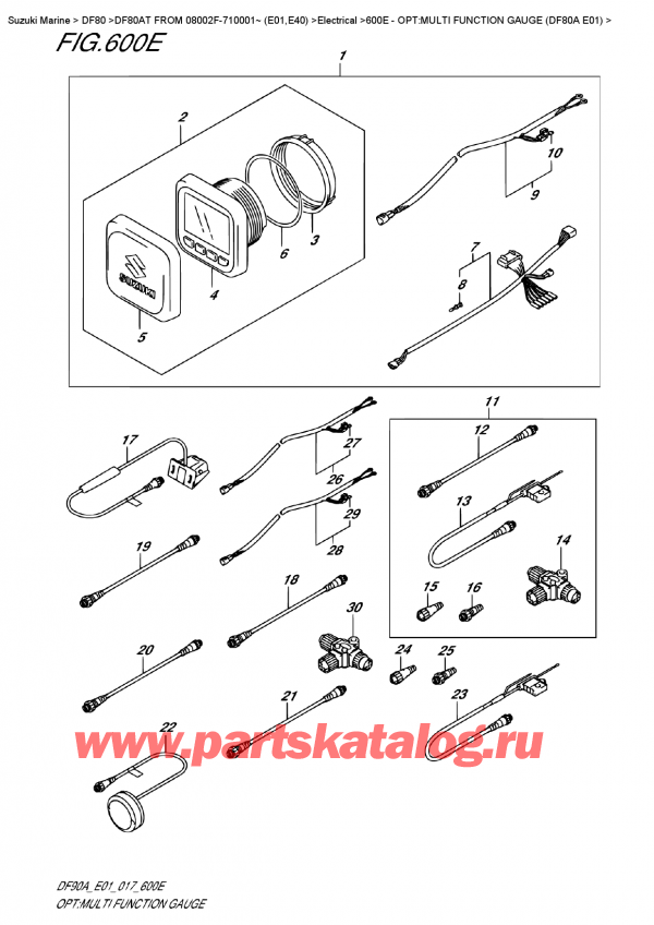  ,   ,  DF80A TL FROM 08002F-710001~ (E01) , Opt:multi Function  Gauge  (Df80A  E01) / : multi Function Gauge (Df80A E01)