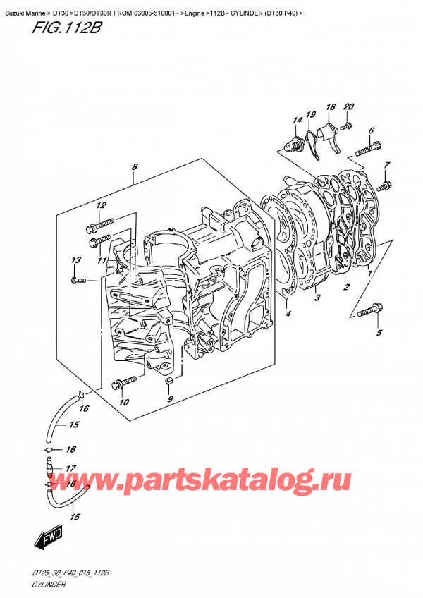  ,    , Suzuki DT30E S/L FROM 03005-510001~  2015 , Cylinder  (Dt30 P40) /  (Dt30 P40)