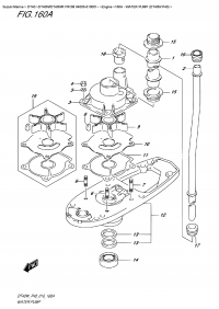 160A    -  Water  Pump (Dt40W P40) (160A -   (Dt40W P40))