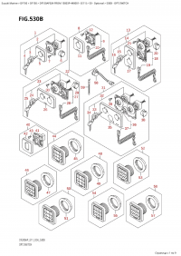 530B - Opt:switch (530B - : )