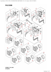 530B - Opt:switch (530B - : )