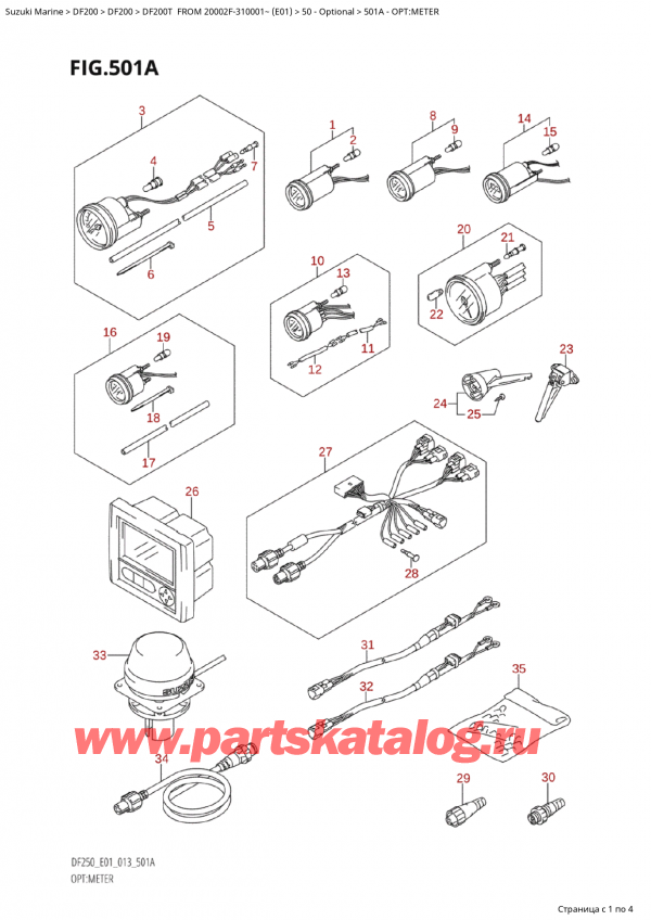 ,    ,  Suzuki DF250T X / XX FROM 25003F-310001~  (E01 013), :  / Opt:meter