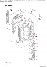 113A  -  Cylinder  Block (Df200T, (113A -   (Df200T,)