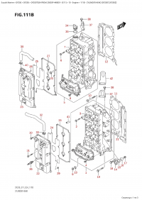 111B - Cylinder Head (Df250T,Df250Z) (111B -    (Df250T, Df250Z))