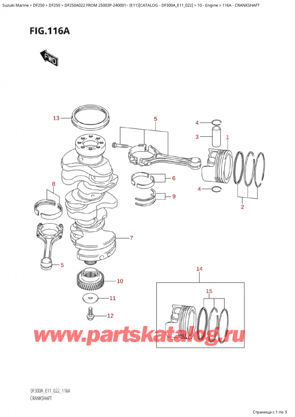 ,    , Suzuki Suzuki DF250AP X / XX FROM 25003P-240001~  (E11) - 2022  2022 , 