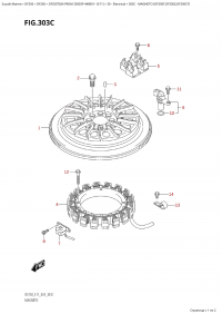 303C - Magneto  (Df250T,Df250Z,Df250St) (303C -  (Df250T, Df250Z, Df250St))