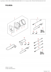 602A - Opt:multi  Function  Gauge  (2)  (E11,E01) (602A - : multi Function Gauge (2) (E11, E01))