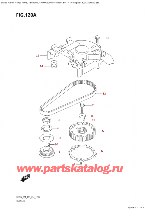  ,   , SUZUKI Suzuki DF30A TS / TL FROM 03003F-440001~  (P01 024)  2024 , Timing Belt /  