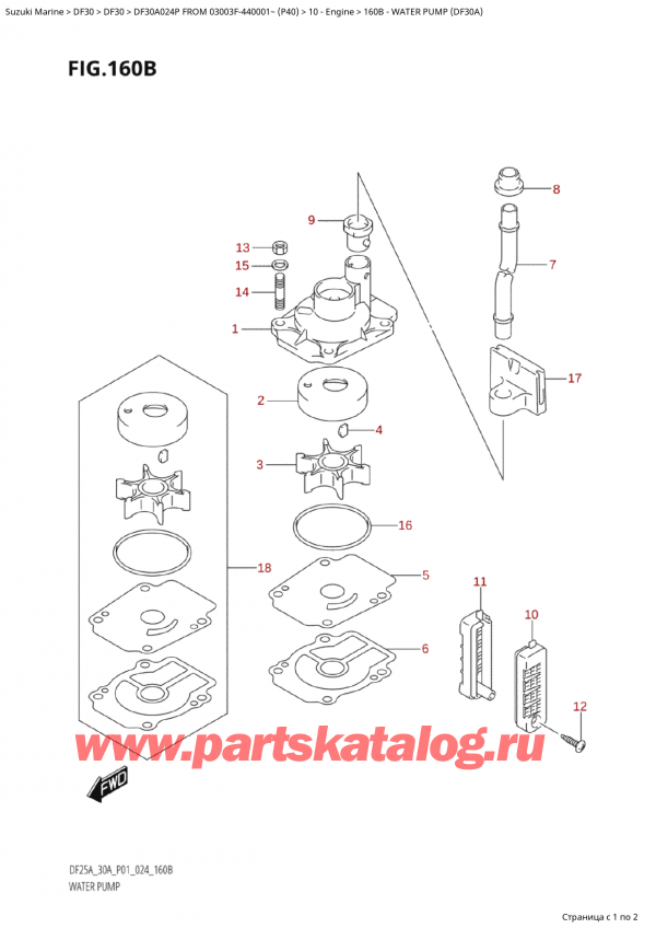 , , Suzuki Suzuki DF30A S / L FROM 03003F-440001~  (P40 024)  2024 , Water Pump (Df30A) -   (Df30A)