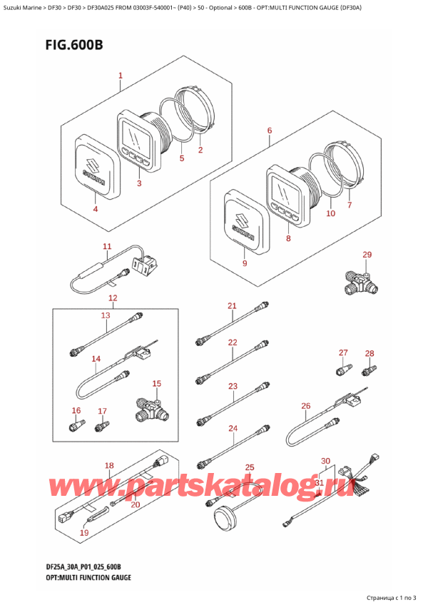  ,   ,  DF30A TS-TL FROM 03003F-540001~ (P40 025)  2025 , : multi Function Gauge (Df30A)