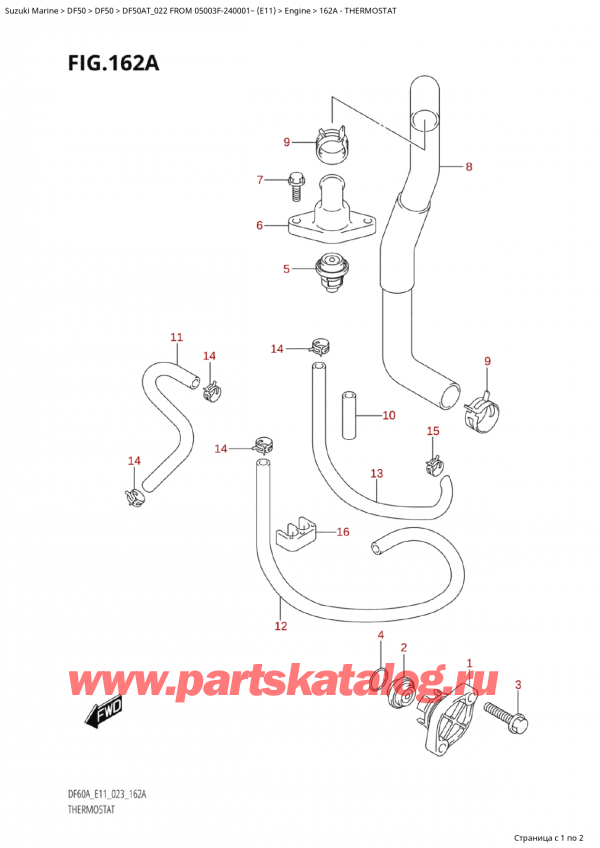  ,  , Suzuki Suzuki DF50A TS / TL FROM 05003F-240001~  (E11) - 2022, Thermostat / 