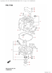 113A - Cylinder Block (113A -  )