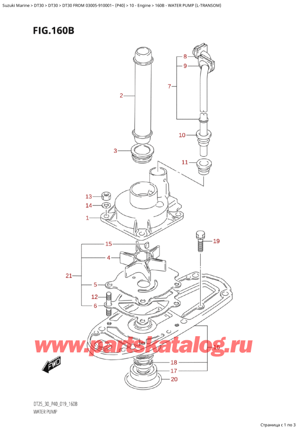  ,   , SUZUKI  DT30 S / LFROM 03005-910001~ (P40 024)   2024 , Water Pump (LTransom)