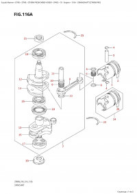 116A - Crankshaft (Dt40W:p40) (116A -  (Dt40W: p40))