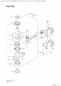 116C - Crankshaft (Dt40Wr:p40) (116C -  (Dt40Wr: p40))