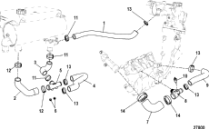 Cooling System, Fresh Water System (���������� System, Fresh Water System)