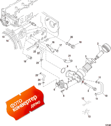 Oil Cooler And Oil Filter (Oil Cooler   )