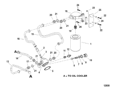 Oil Filter And Oil Hoses (   Oil s)