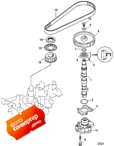 Oil Pump/camshaft (  /  )