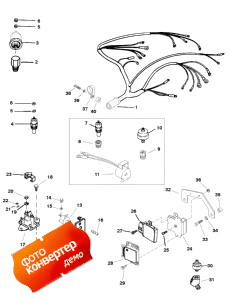 Wiring Harness And Electrical Components (Wi     )