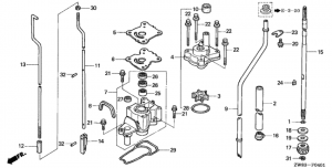   /   (ul size) (Water Pump / Vertical Shaft (ul Size))