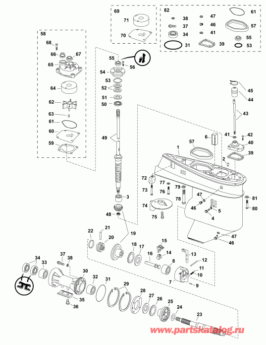  EVINRUDE E40DPGLAGA  - , F-type / gearcase, F-type