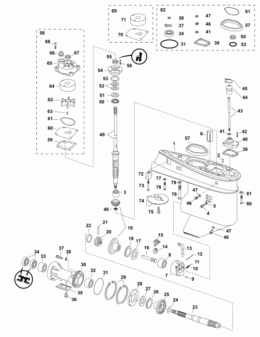   Evinrude E60DSLABA  - , F-type - gearcase, F-type
