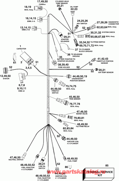    EVINRUDE E40DPLINC  - ectrical  