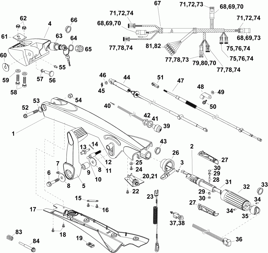  Evinrude E40DTLAAA  - tiller Arm (dt)