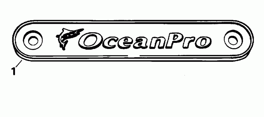 ��������� ����� Evinrude E200FPLSSH FFI, Elec Start, TNT, 20 IN s  - ����� / Optional