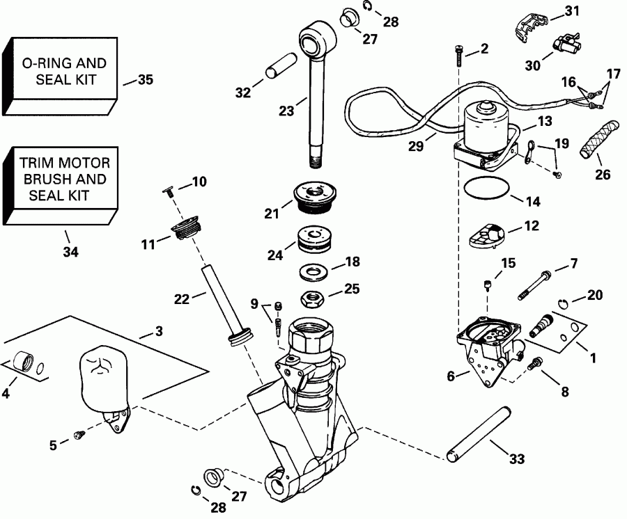 ��������� ��������� Evinrude E225FPZSSH FFI, Elec Start, TNT, 25 IN s  - wer Trim / tilt Hydraulic Assembly